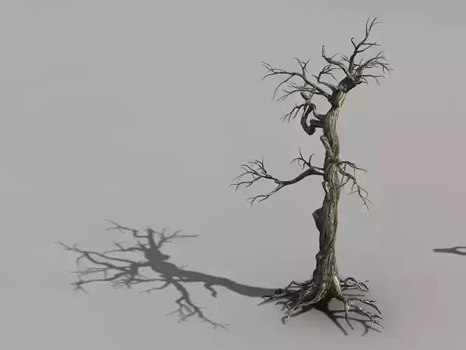 Qianhui Forest-Difu-Withered Tree 004