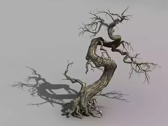 Qianhui Forest-Difu-Dead Tree 005