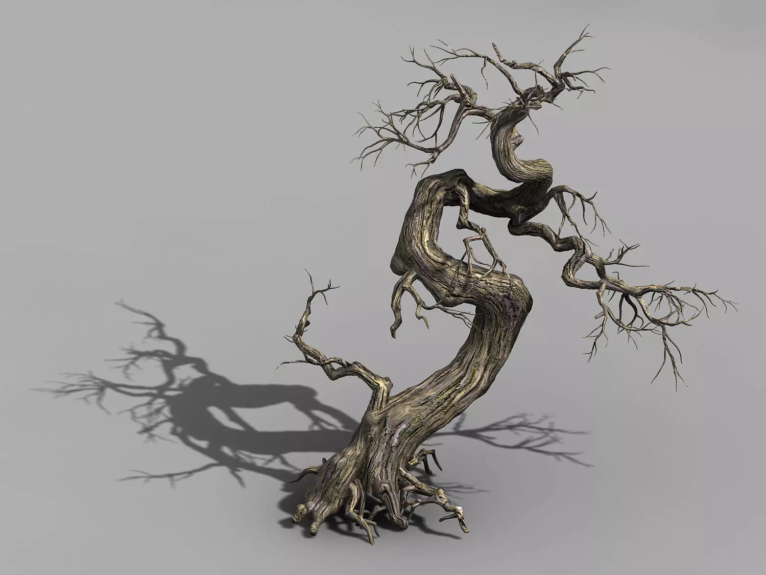 Qianhui Forest-Difu-Dead Tree 005 3D model_0