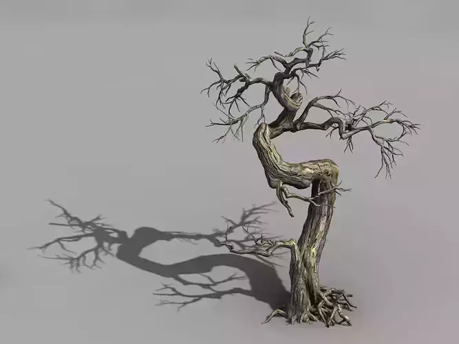 Qianhui Forest-Difu-Dead Tree 006 3D model