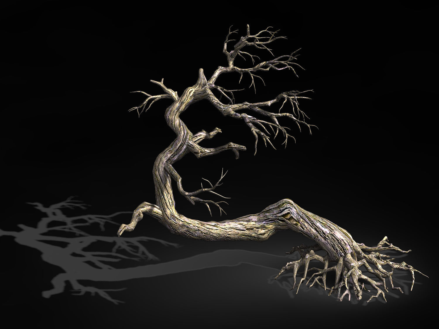 Qianhui Forest-Difu-Dead Tree 007 3D model_1