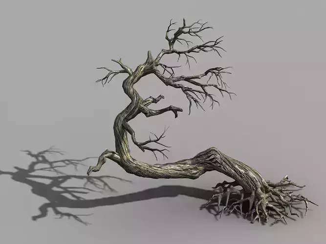 Qianhui Forest-Difu-Dead Tree 007