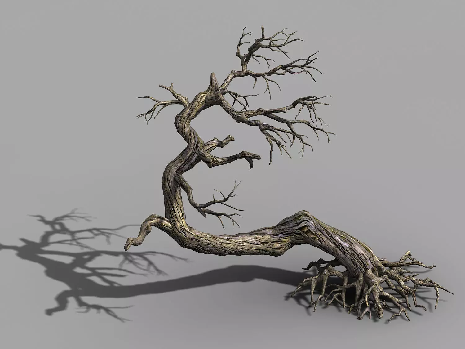 Qianhui Forest-Difu-Dead Tree 007 3D model_0