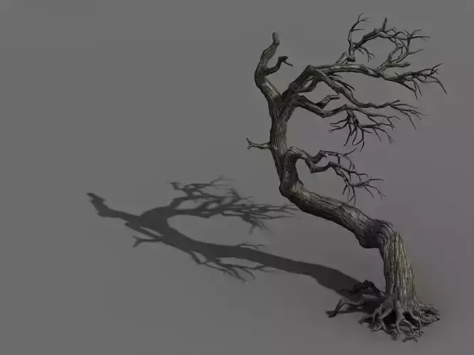 Qianhui Forest-Difu-Withered Tree 008