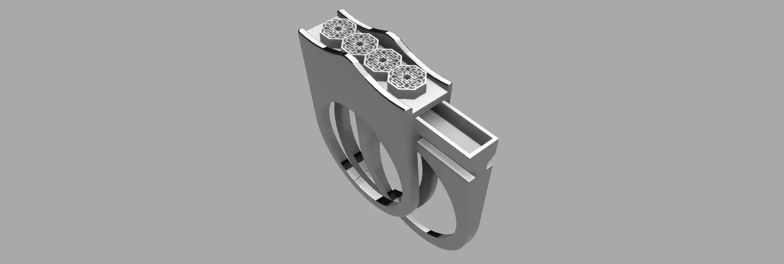 Hidden Ring 3D print model