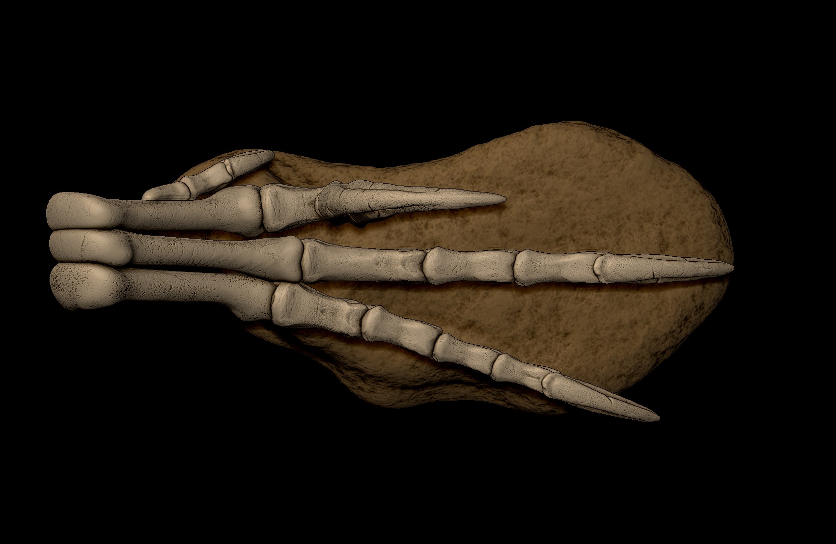 Velociraptor Foot 3D print model 3D print model_6