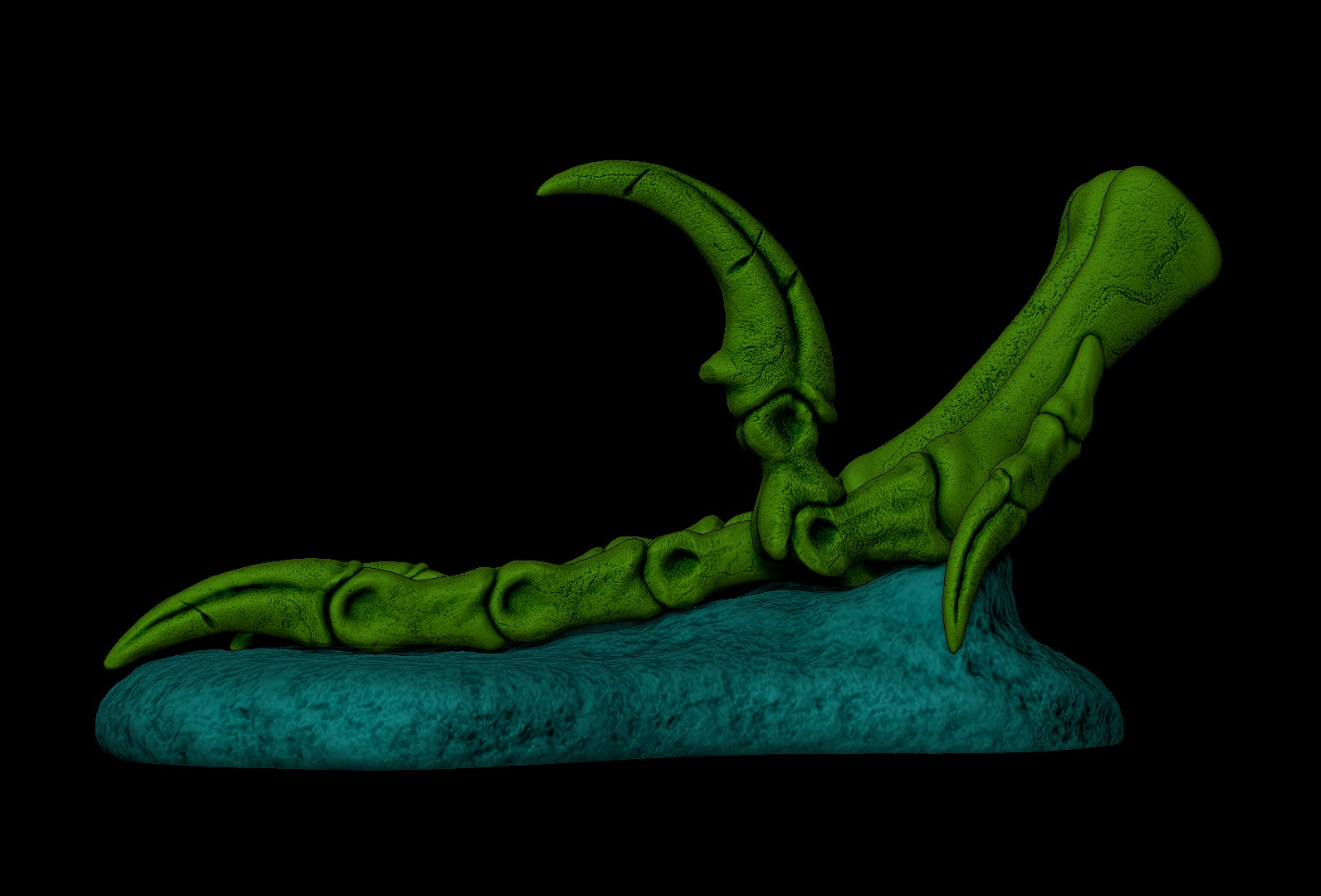 Velociraptor Foot 3D print model 3D print model_7