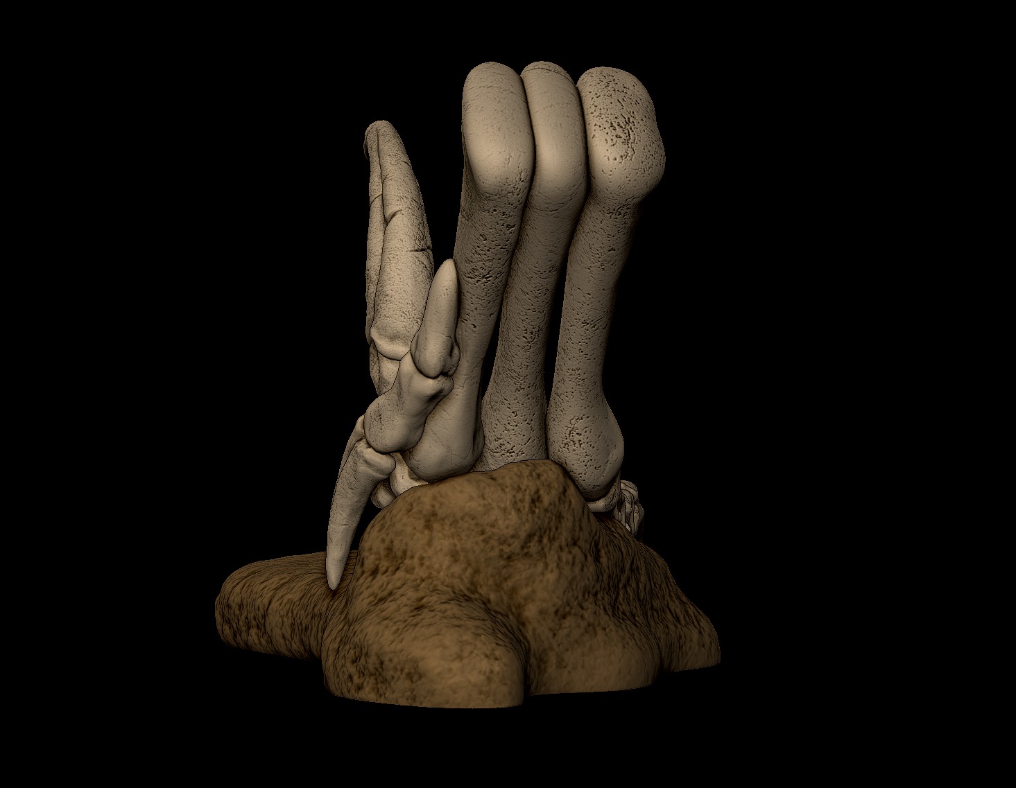 Velociraptor Foot 3D print model 3D print model_5