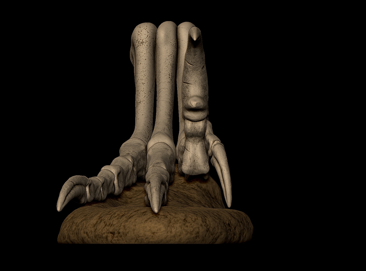 Velociraptor Foot 3D print model 3D print model_1