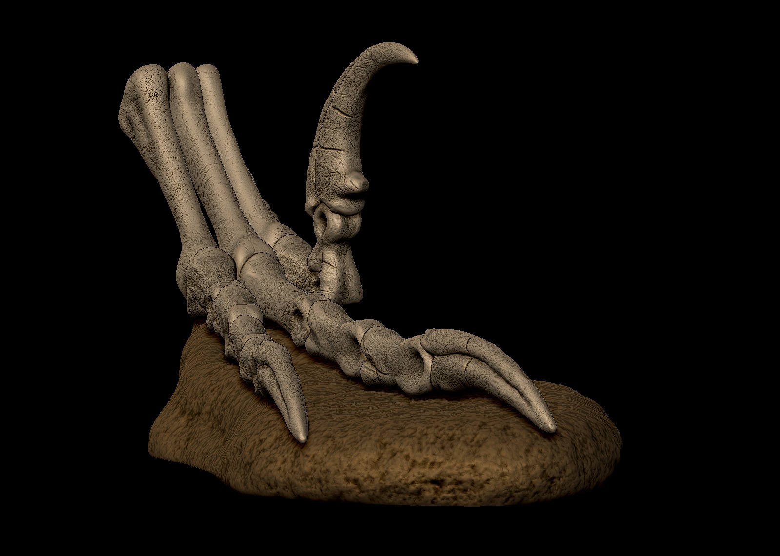 Velociraptor Foot 3D print model 3D print model_3