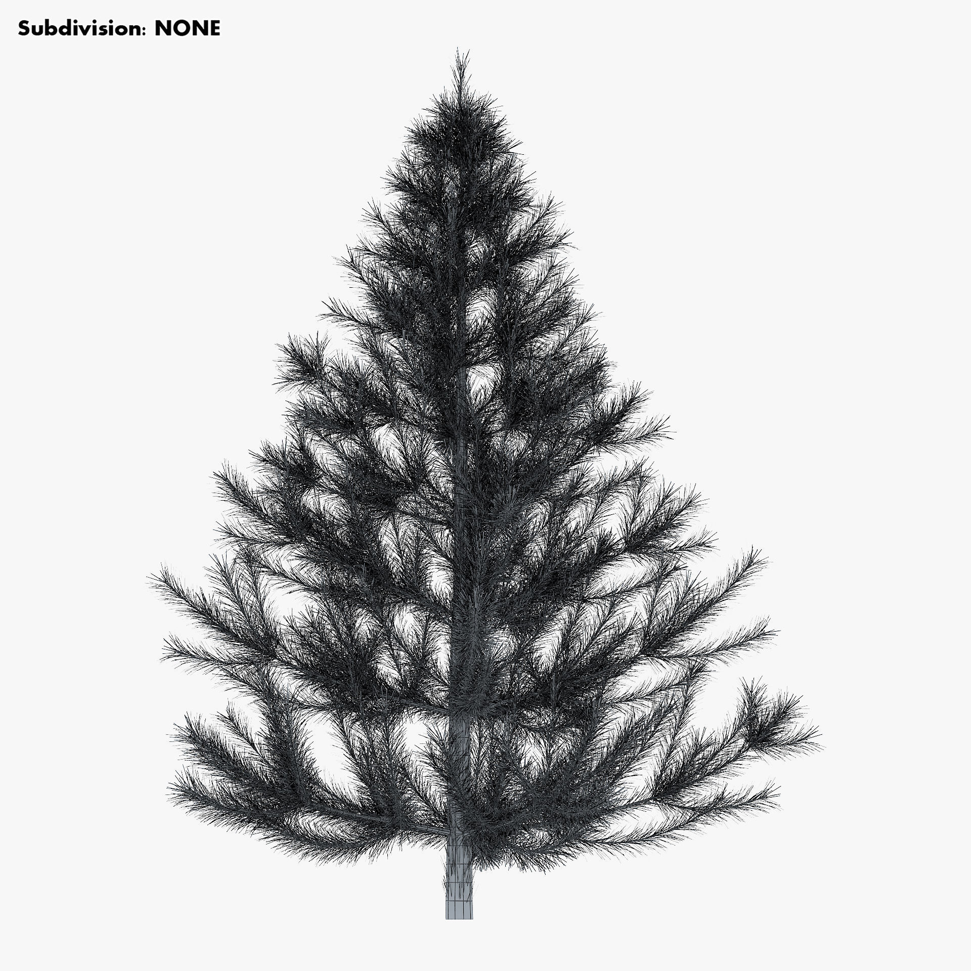 Conifer Tree 150cm v 1 3D model_9