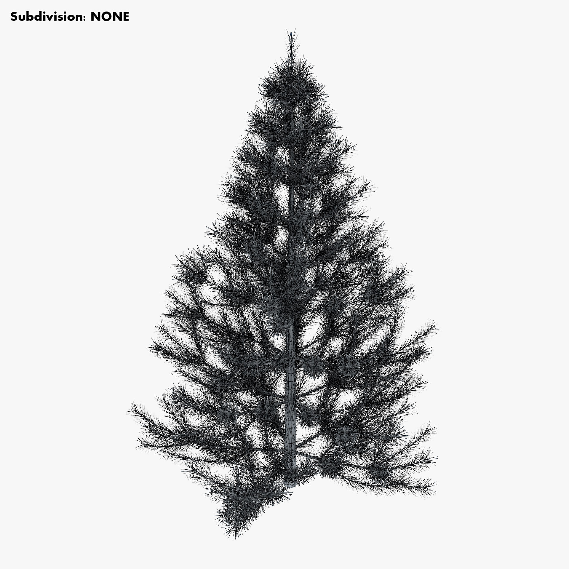 Conifer Tree 150cm v 1 3D model_10