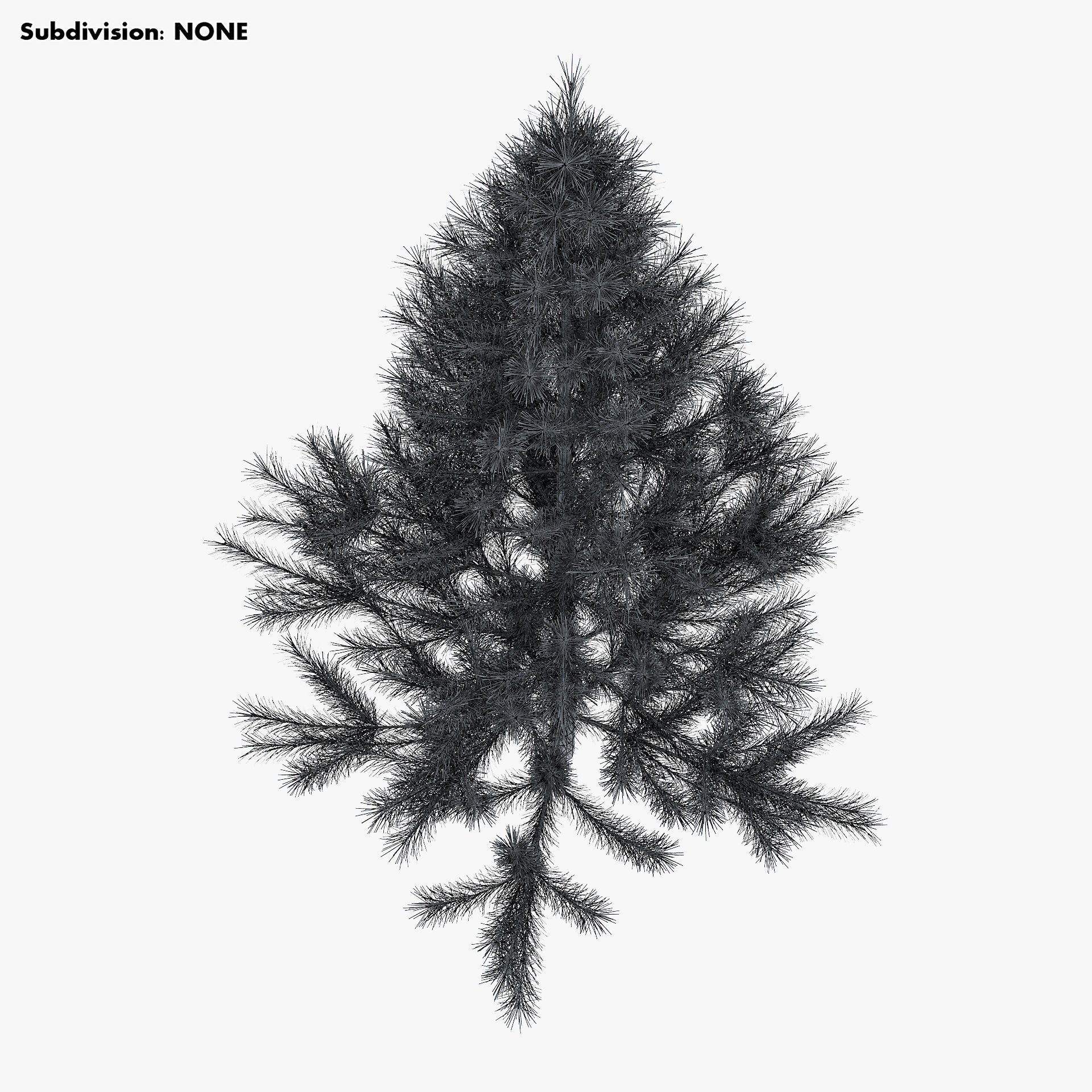 Conifer Tree 150cm v 1 3D model_11