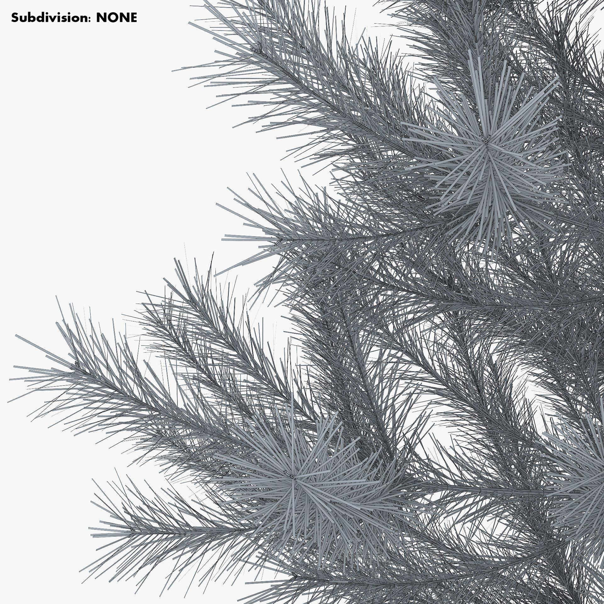 Conifer Tree 150cm v 1 3D model_13
