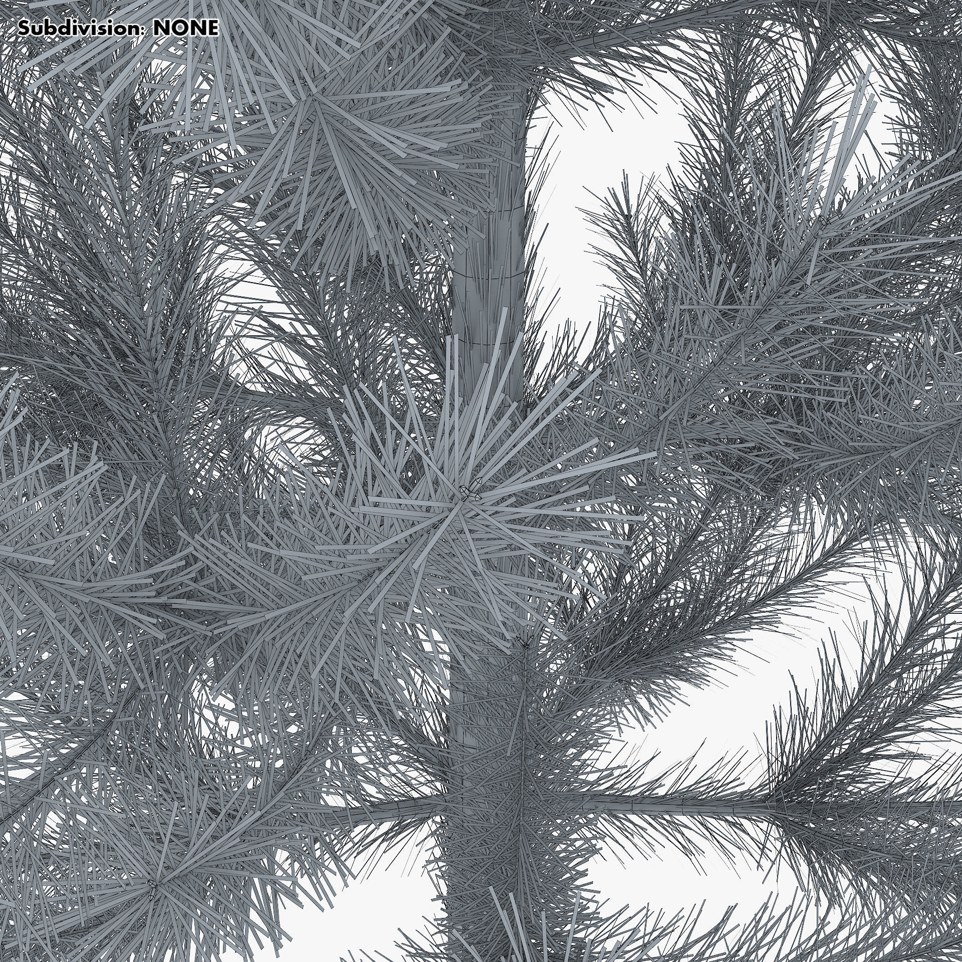 Conifer Tree 150cm v 1 3D model_14