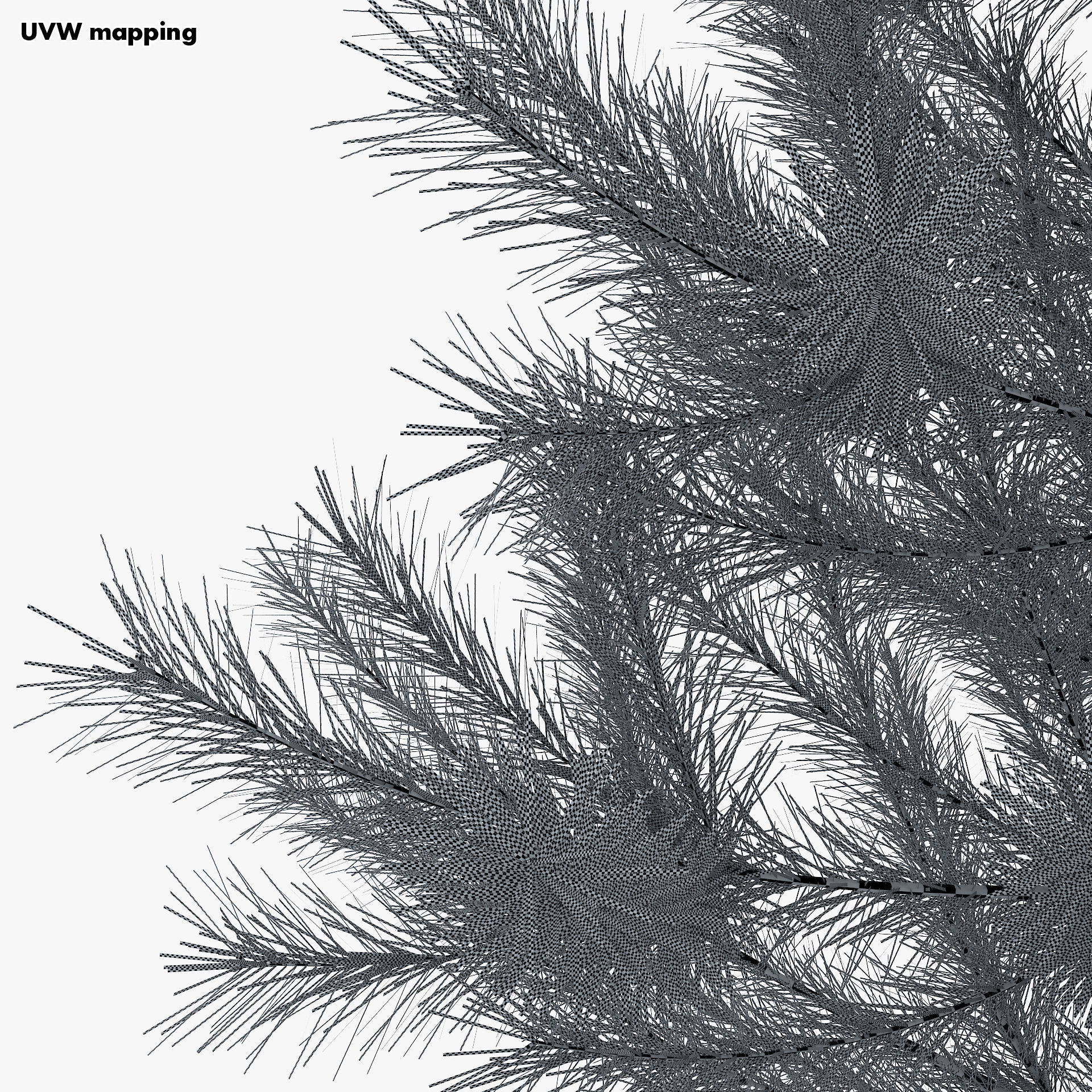 Conifer Tree 150cm v 1 3D model_17