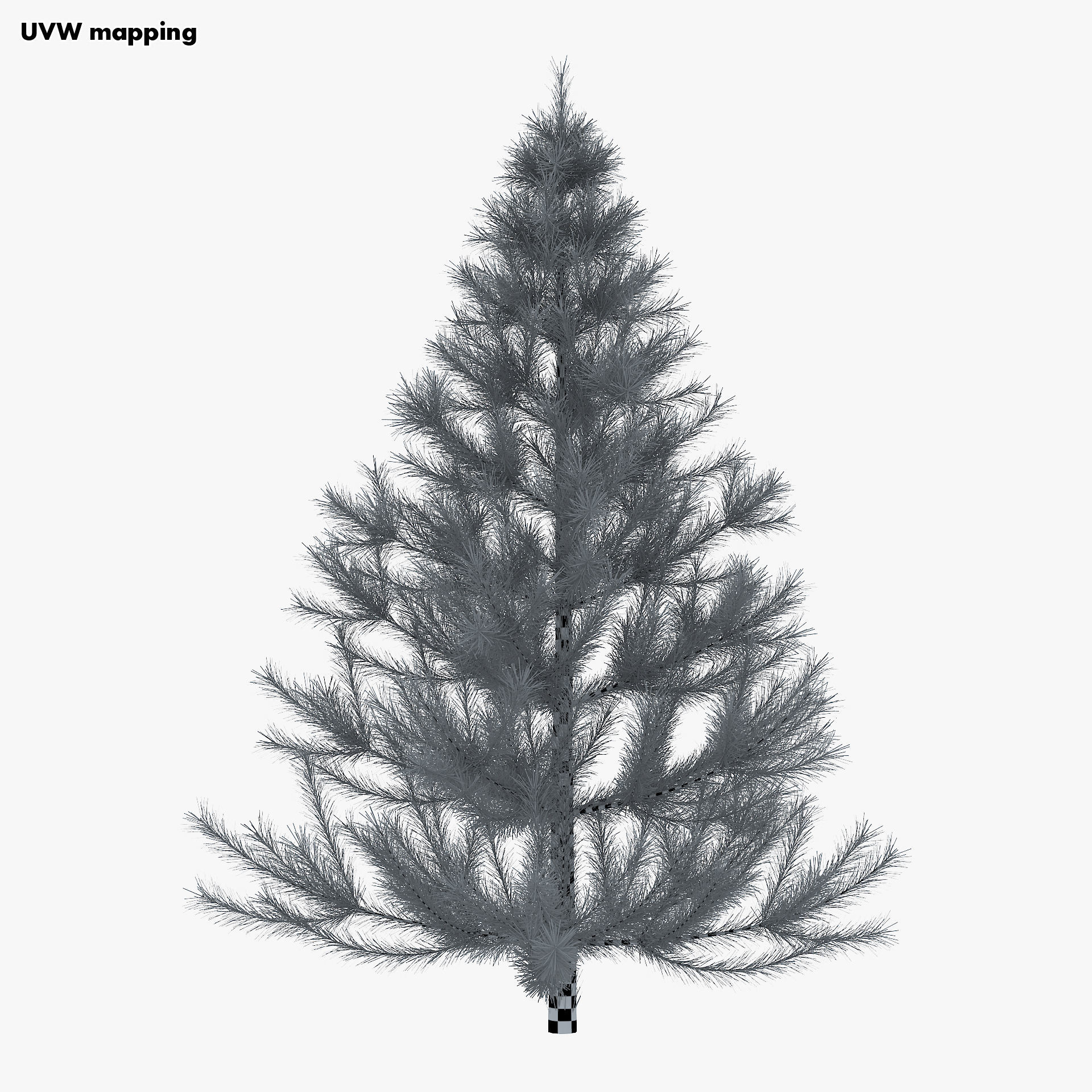 Conifer Tree 150cm v 1 3D model_16