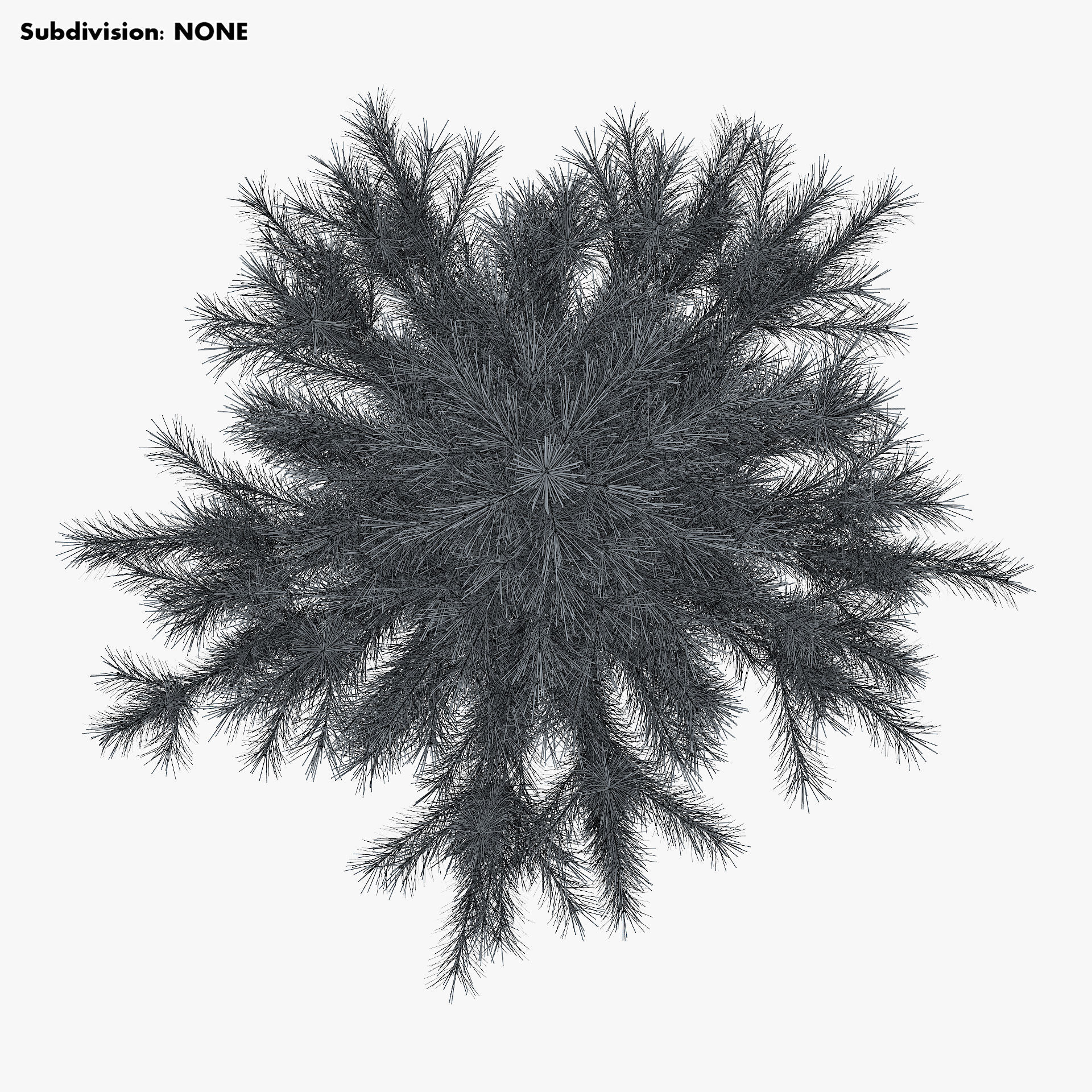 Conifer Tree 150cm v 1 3D model_12