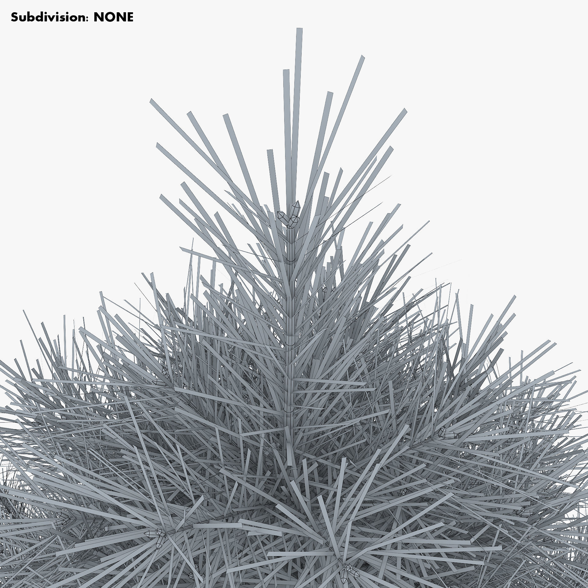 Conifer Tree 150cm v 1 3D model_15