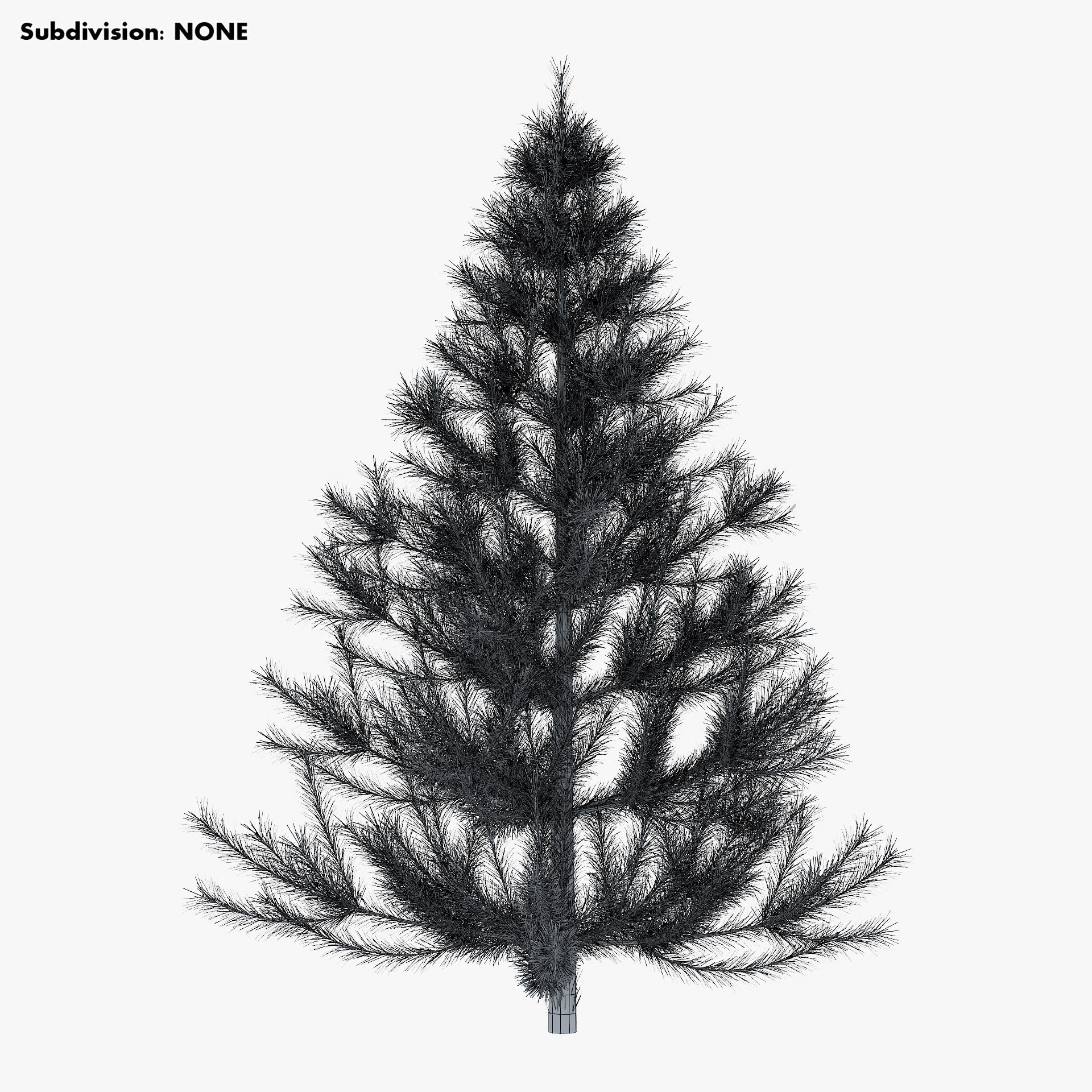 Conifer Tree 150cm v 1 3D model_8