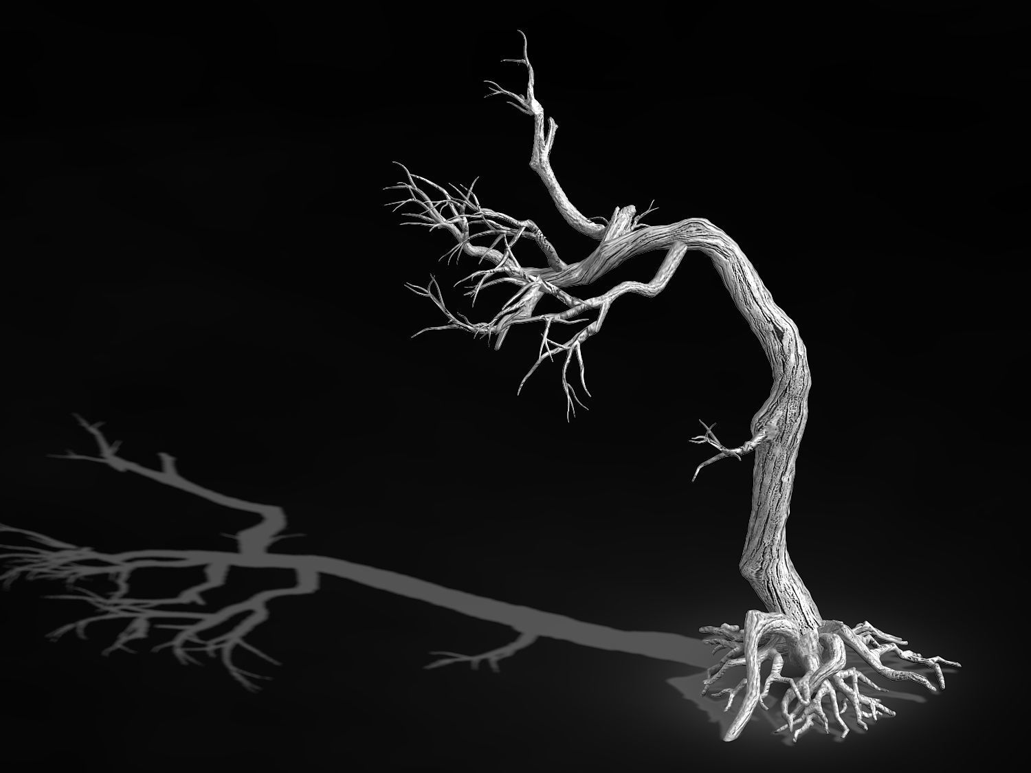 Qianhui Forest-Difu-Withered Tree 009 3D model_2