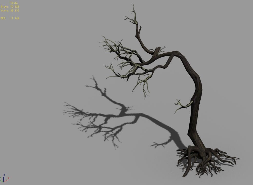 Qianhui Forest-Difu-Withered Tree 009 3D model_4