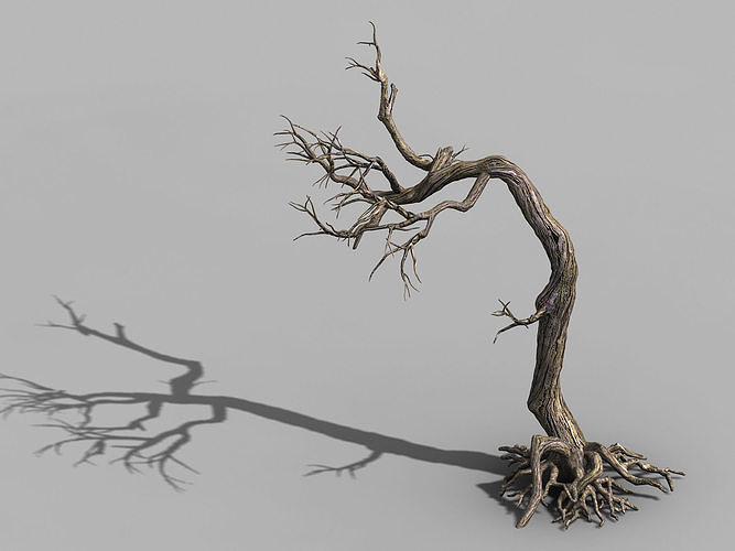 Qianhui Forest-Difu-Withered Tree 009 3D model