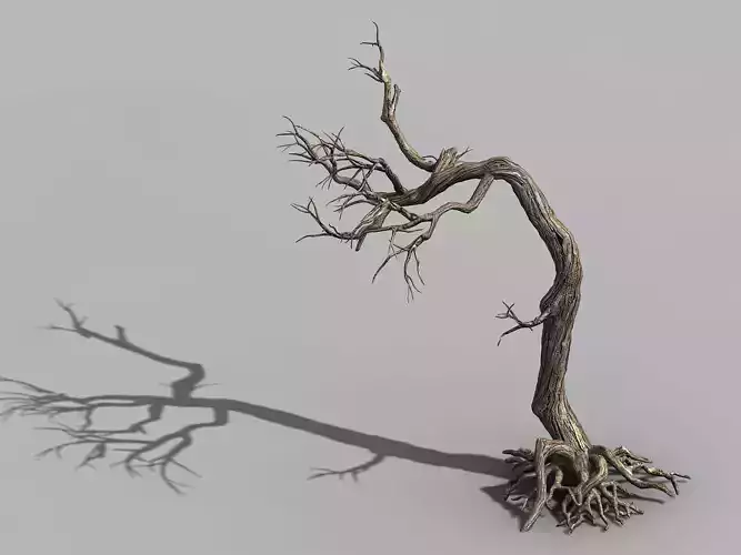 Qianhui Forest-Difu-Withered Tree 009 3D model