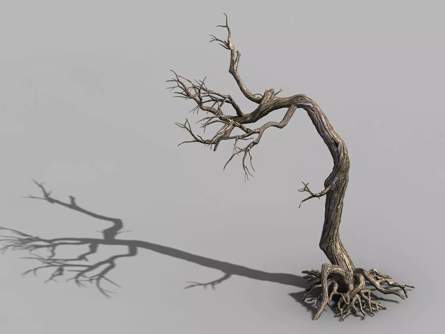 Qianhui Forest-Difu-Withered Tree 009 3D model_0