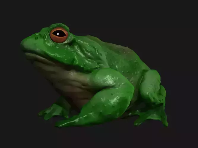 Swamp frog model 3D print model