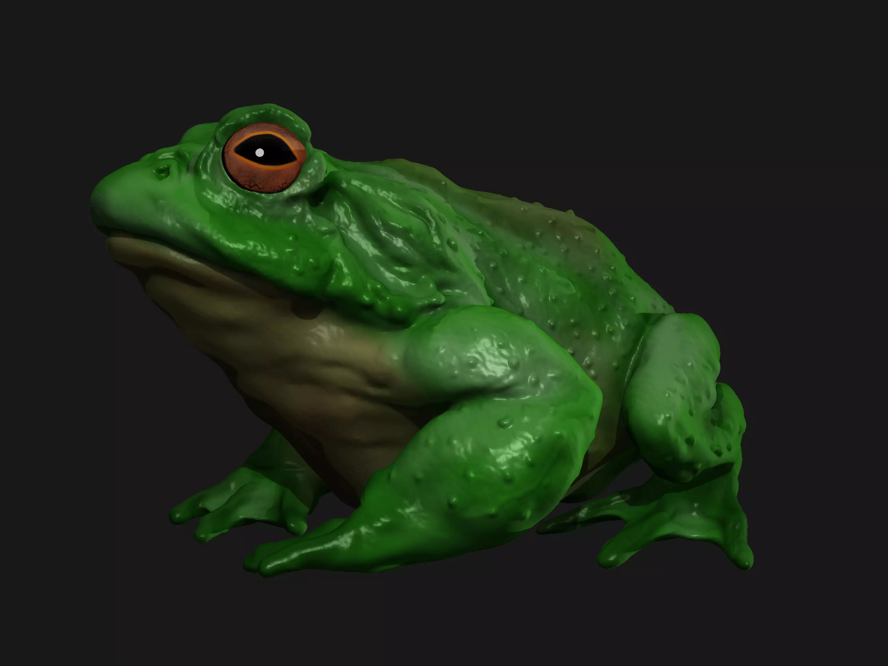 Swamp frog model 3D print model_0