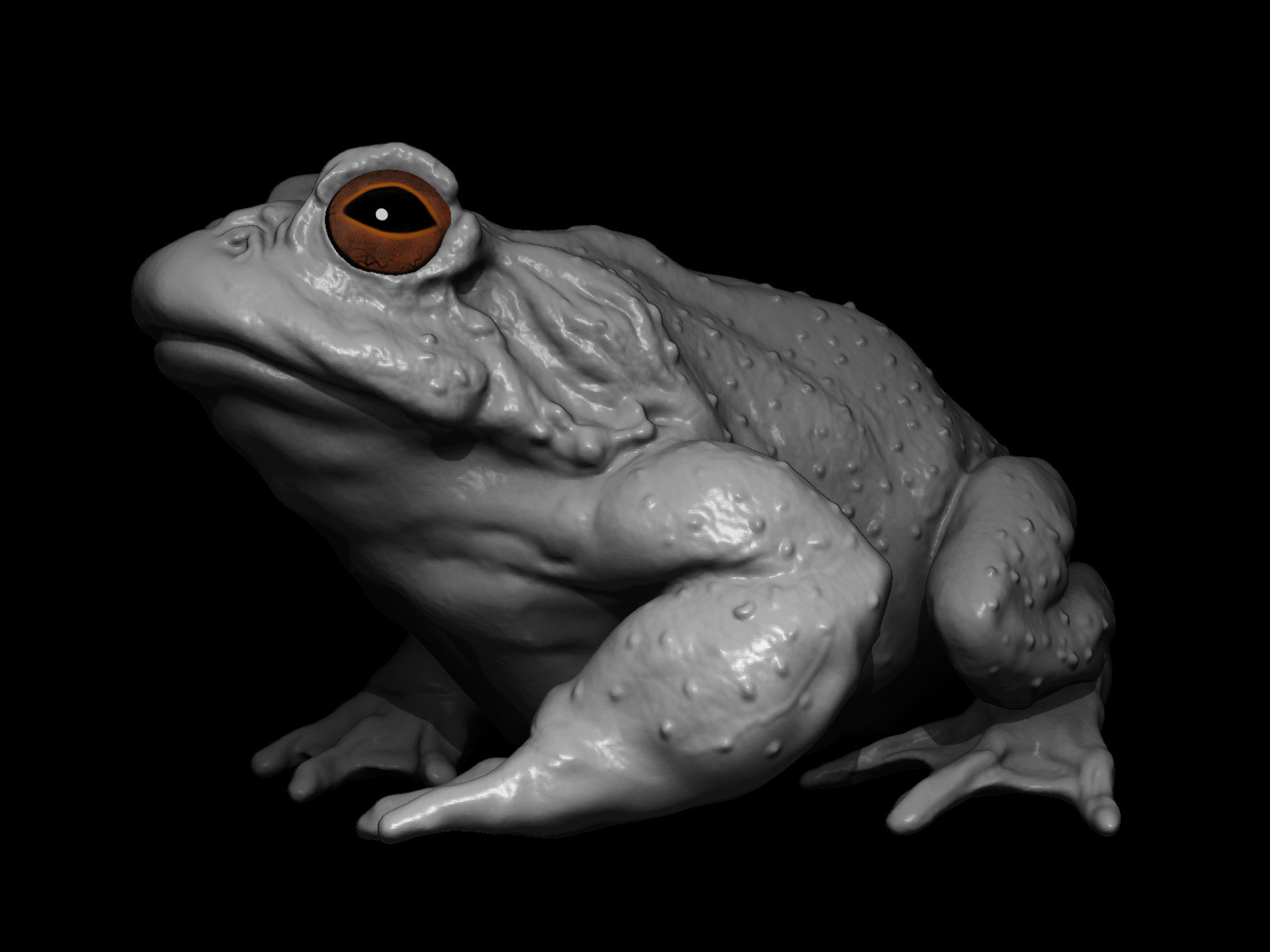 Swamp frog model 3D print model_1