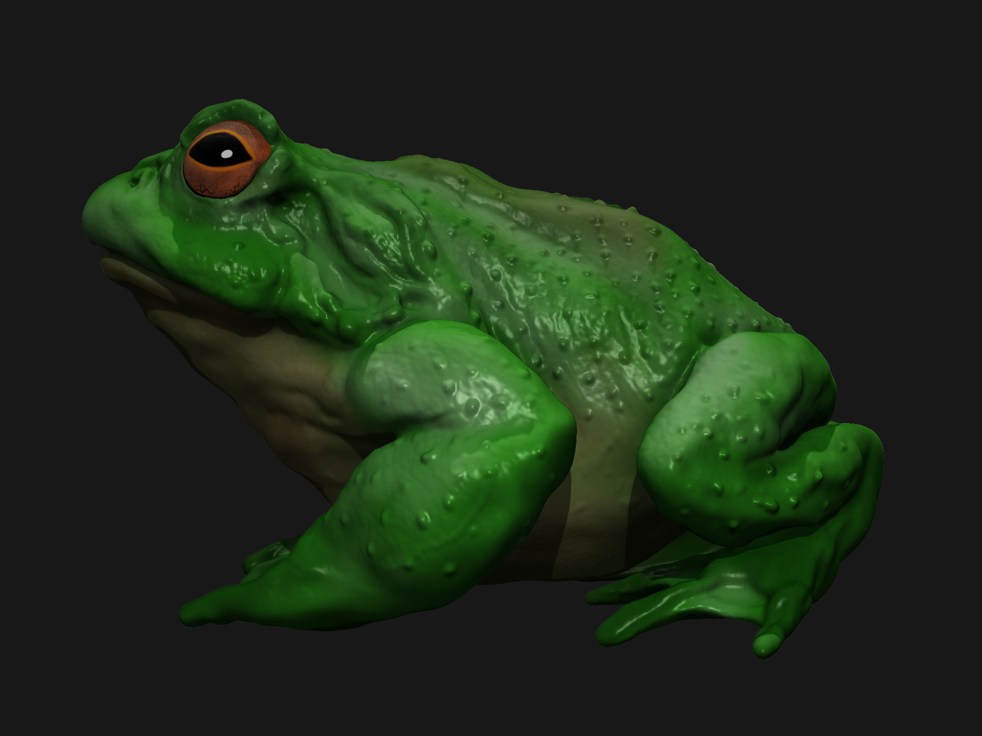 Swamp frog model 3D print model_2