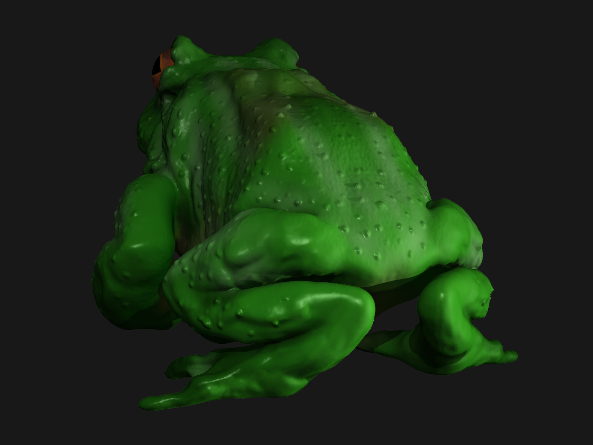 Swamp frog model 3D print model_3