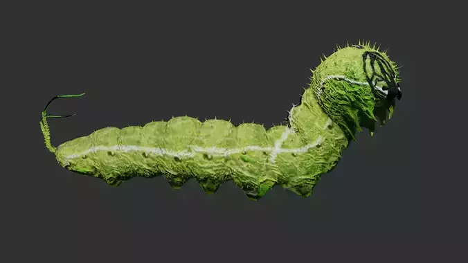Caterpillar 3D model