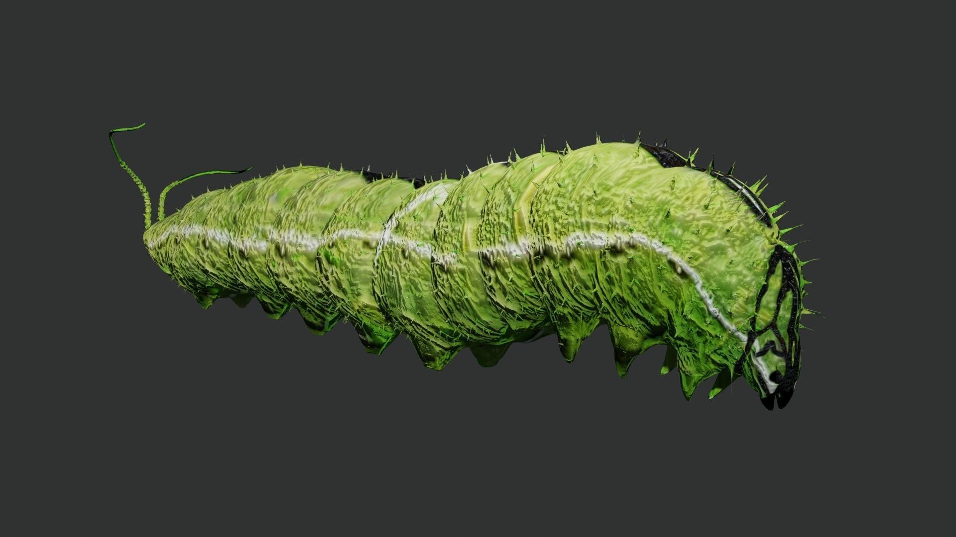Caterpillar 3D model_4