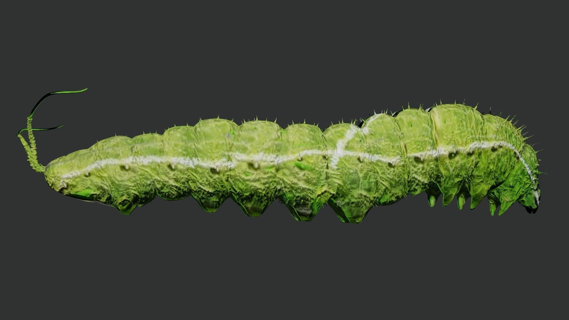 Caterpillar 3D model_2