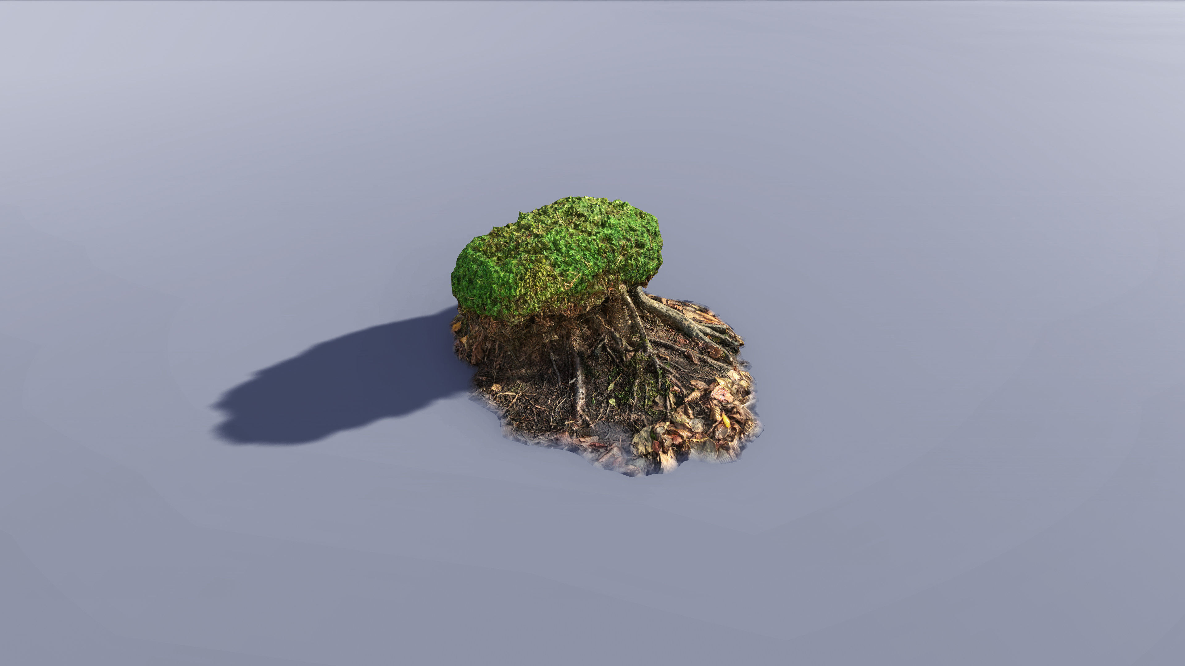 Mossy Tree Collection - Processed Scans PBR 4K Low-poly 3D model_10