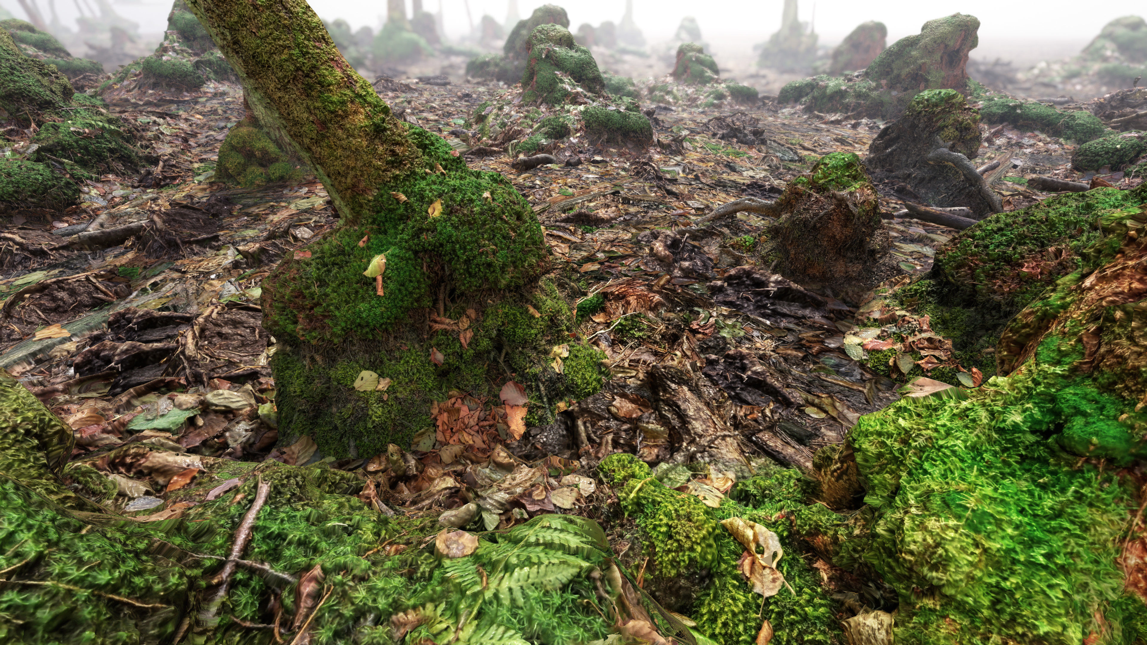 Mossy Tree Collection - Processed Scans PBR 4K Low-poly 3D model_27