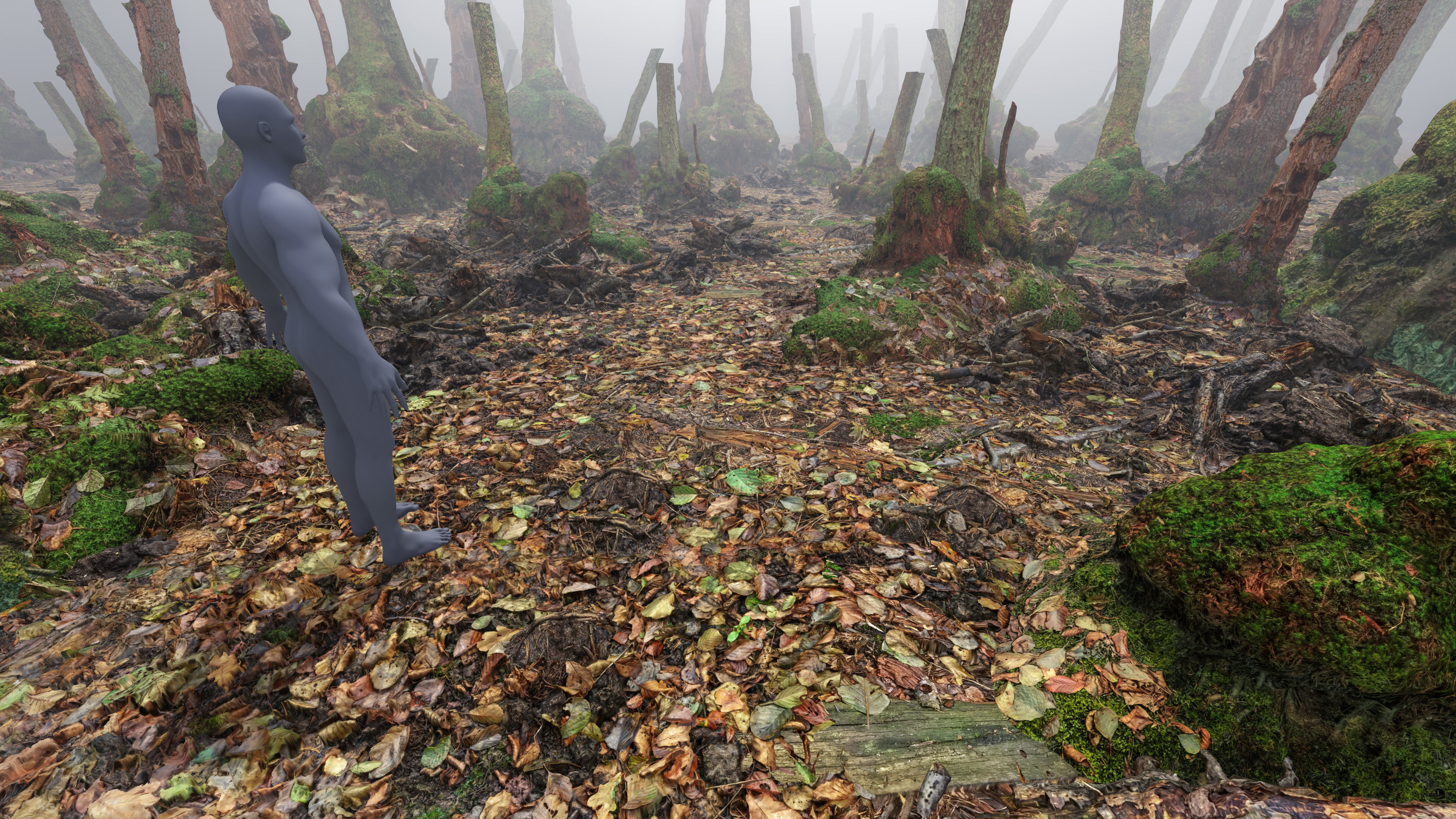 Mossy Tree Collection - Processed Scans PBR 4K Low-poly 3D model_3