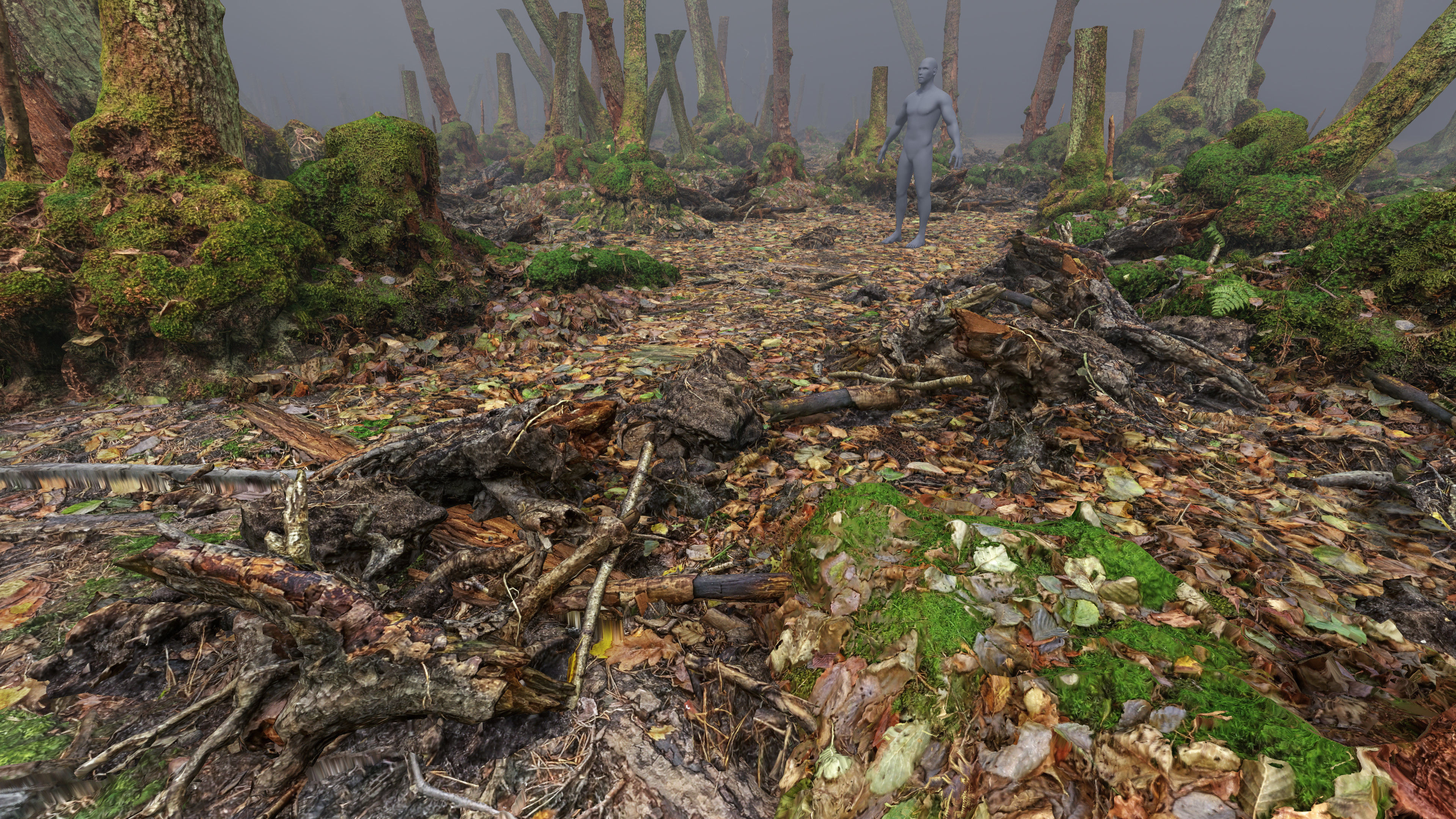 Mossy Tree Collection - Processed Scans PBR 4K Low-poly 3D model_25