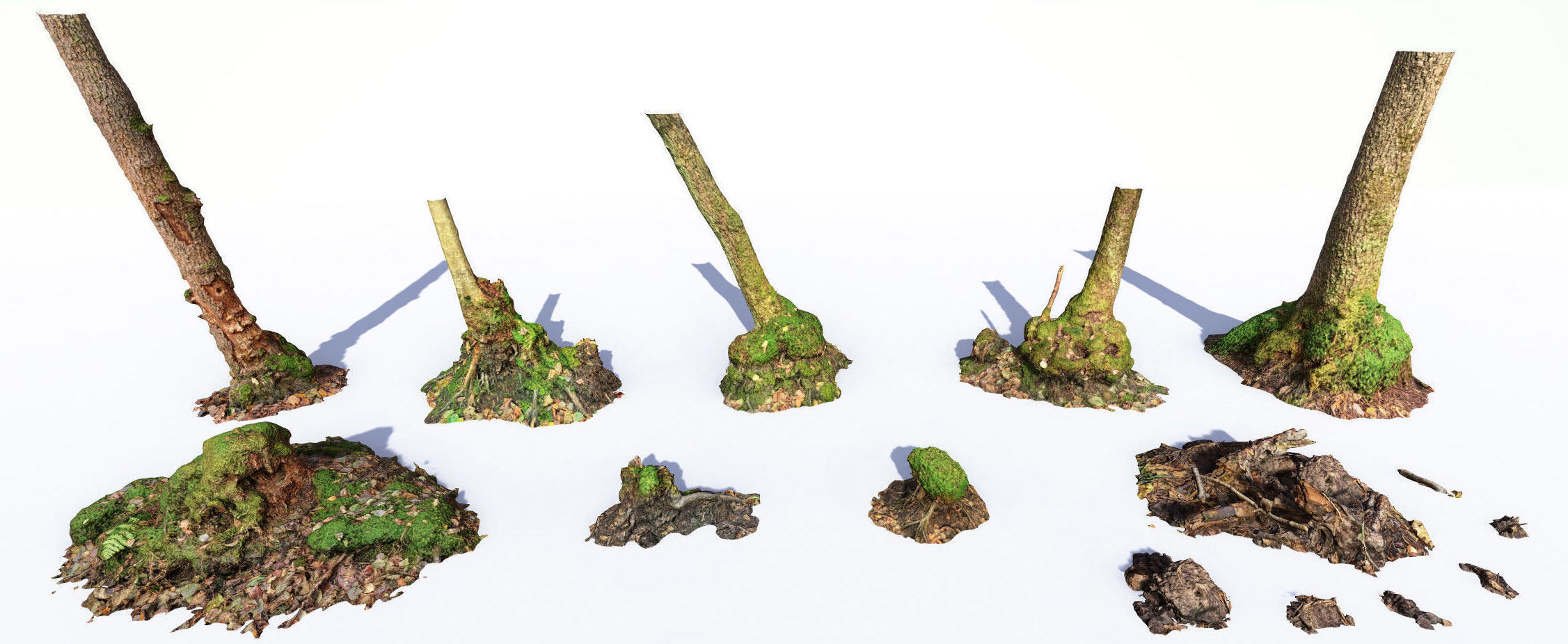 Mossy Tree Collection - Processed Scans PBR 4K Low-poly 3D model_2