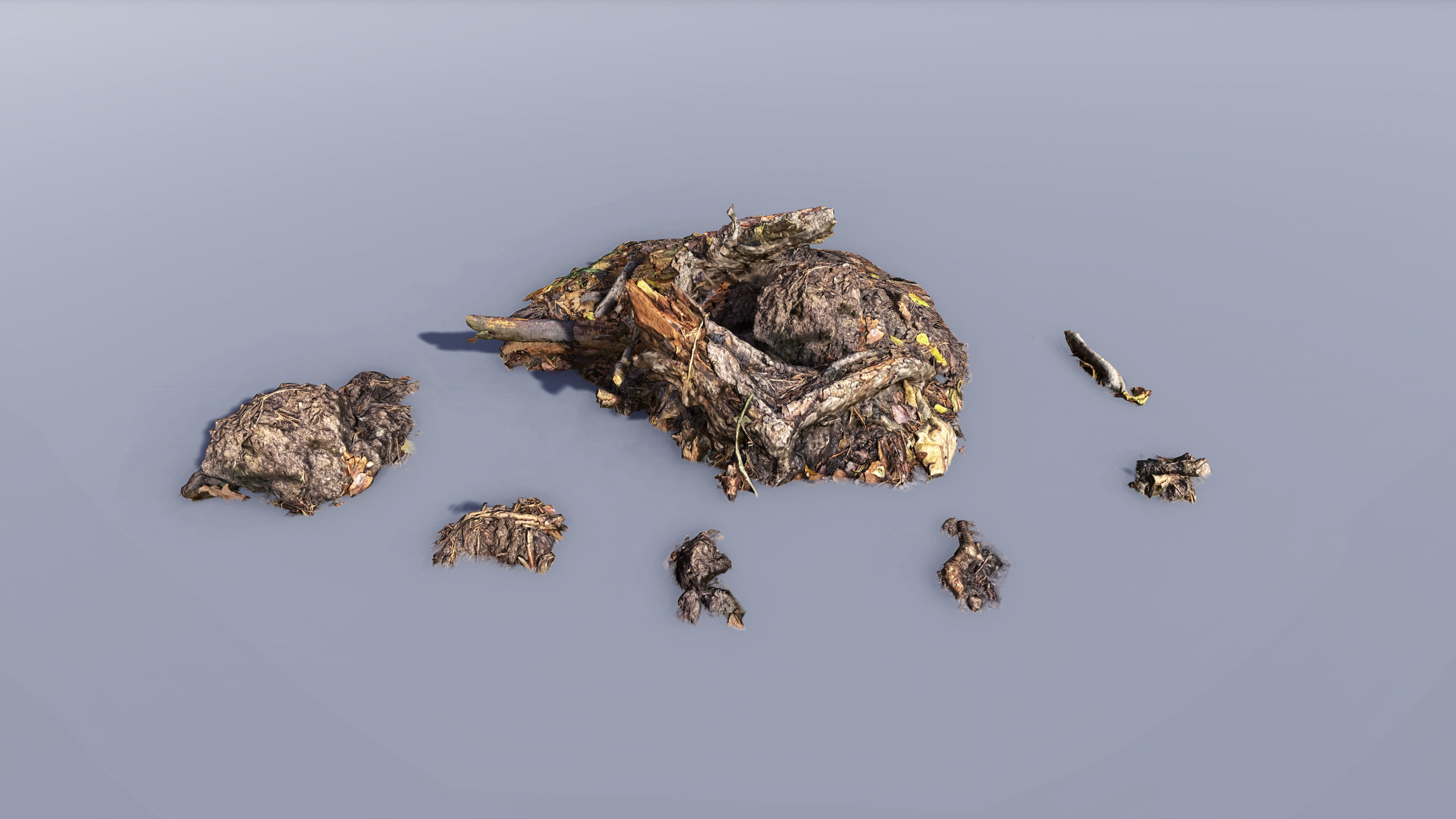 Mossy Tree Collection - Processed Scans PBR 4K Low-poly 3D model_11