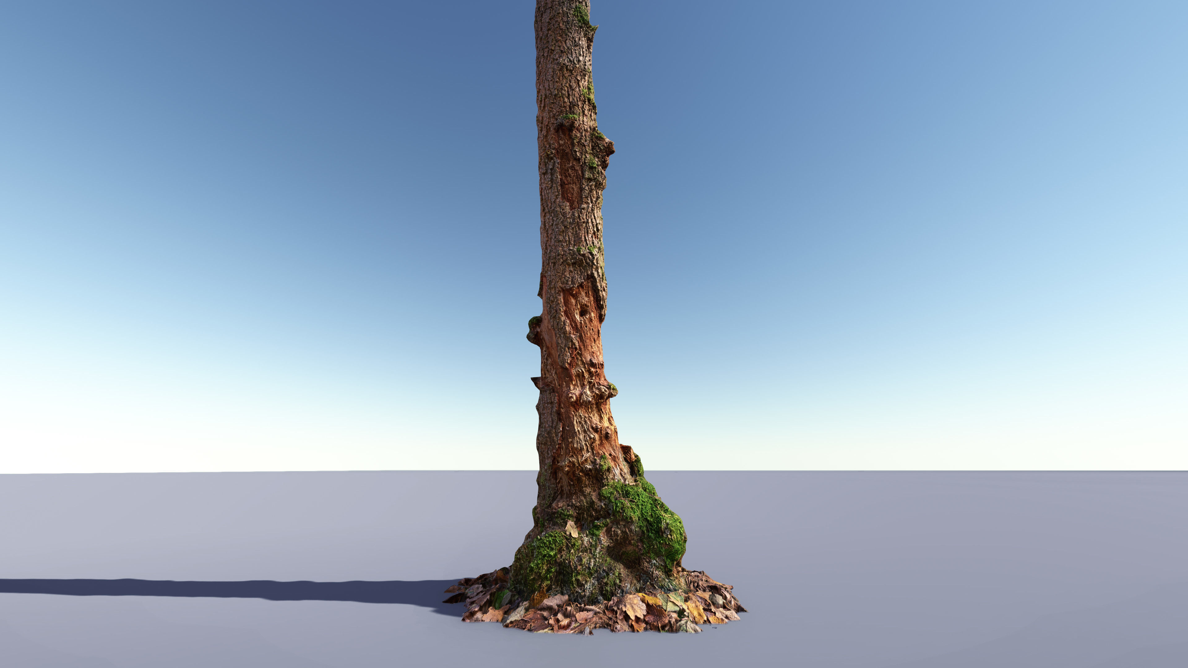 Mossy Tree Collection - Processed Scans PBR 4K Low-poly 3D model_4