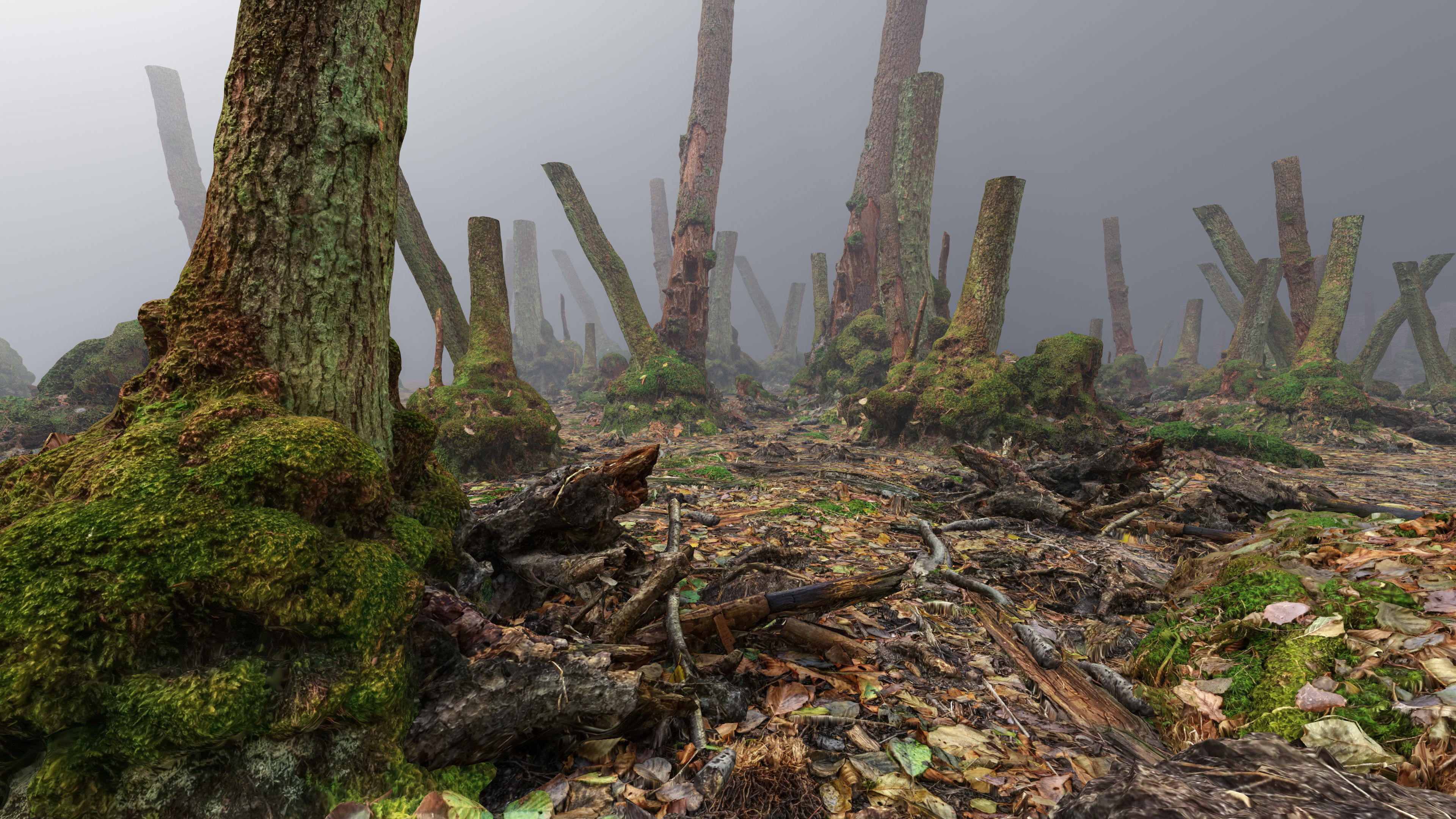 Mossy Tree Collection - Processed Scans PBR 4K Low-poly 3D model_31