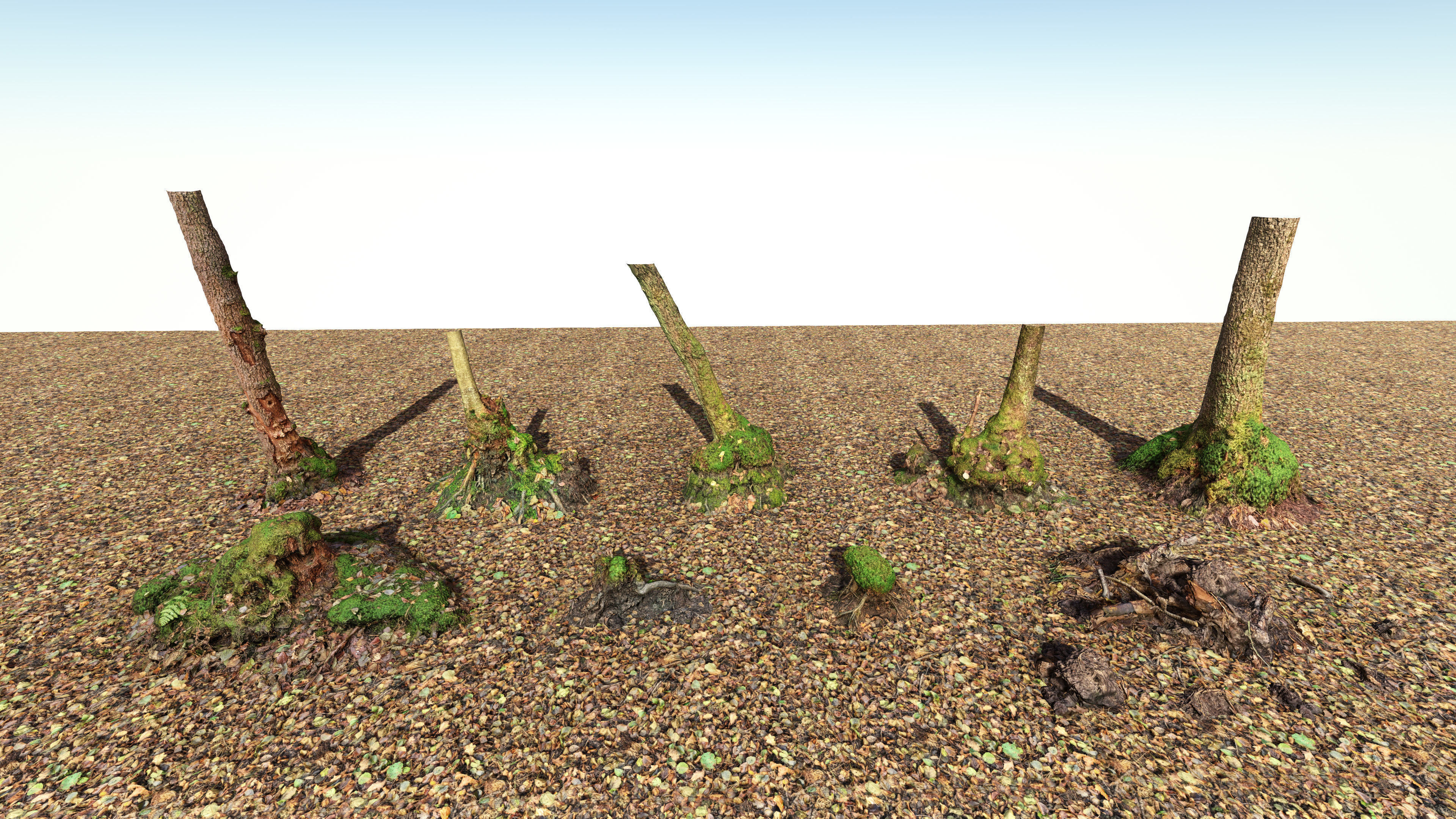 Mossy Tree Collection - Processed Scans PBR 4K Low-poly 3D model_18