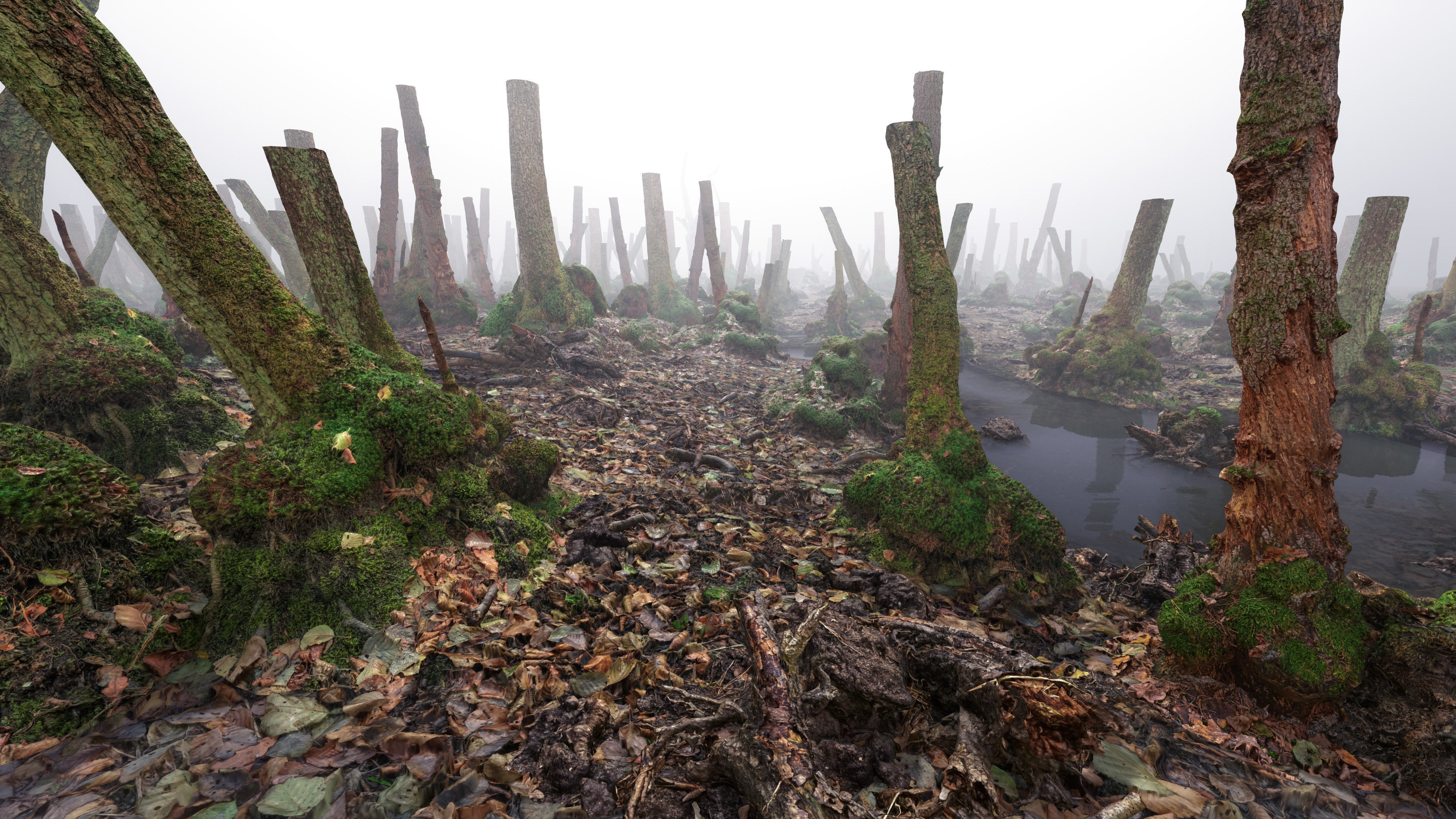 Mossy Tree Collection - Processed Scans PBR 4K Low-poly 3D model_21