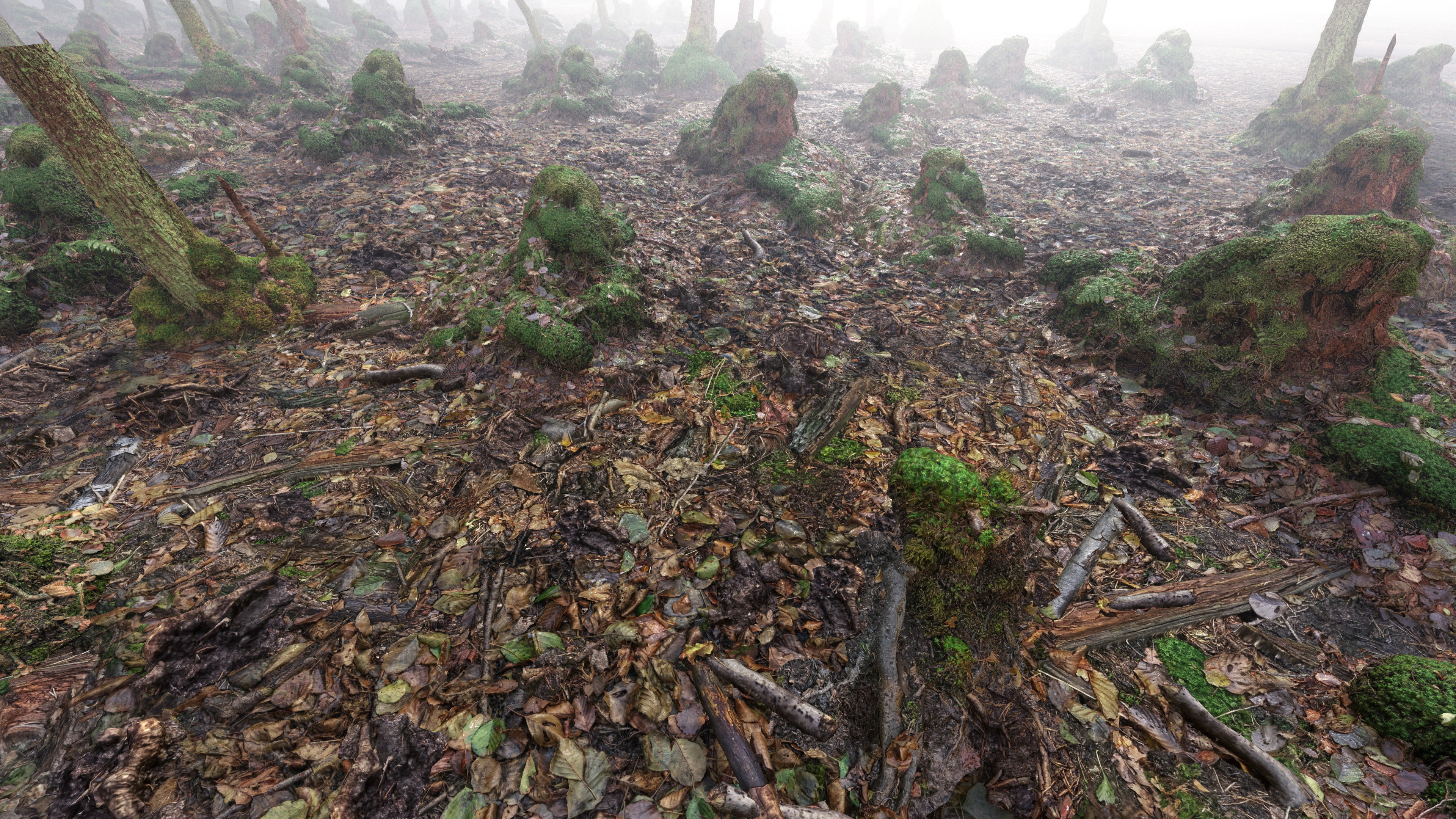 Mossy Tree Collection - Processed Scans PBR 4K Low-poly 3D model_28