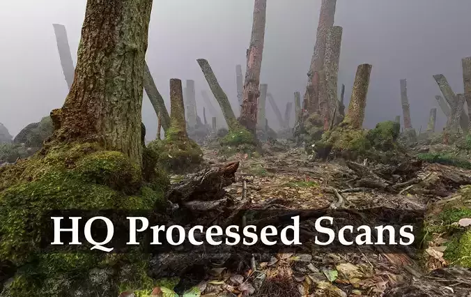 Mossy Tree Collection - Processed Scans PBR 4K Low-poly 3D model