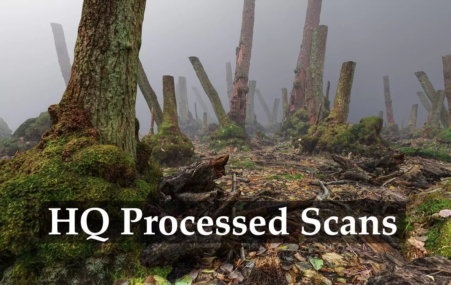 Mossy Tree Collection - Processed Scans PBR 4K Low-poly 3D model_0